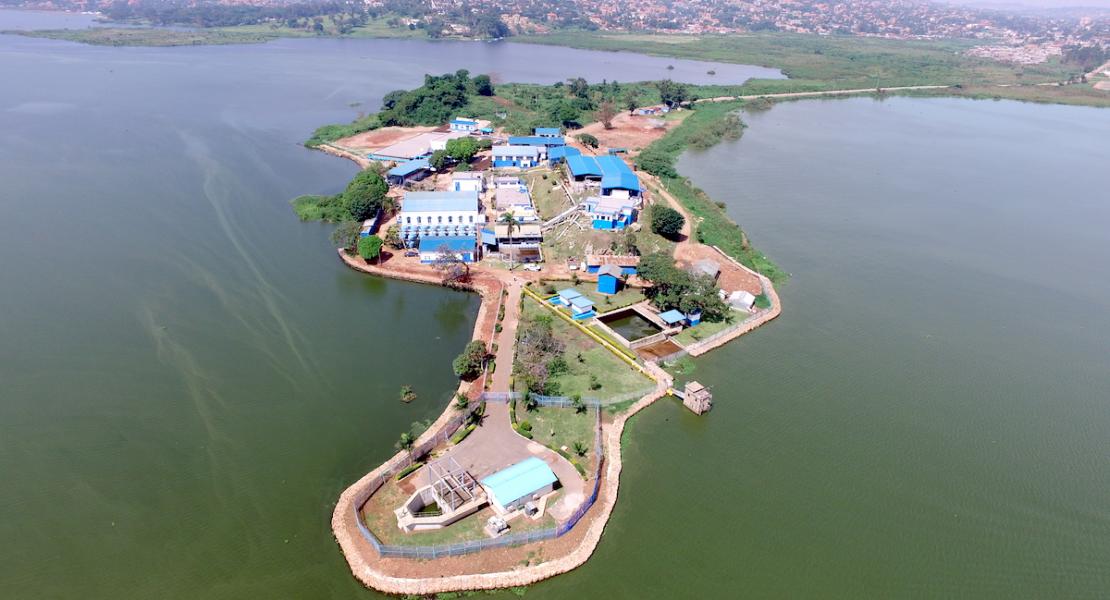 Label your project through the “Initiative Dakar 2021”