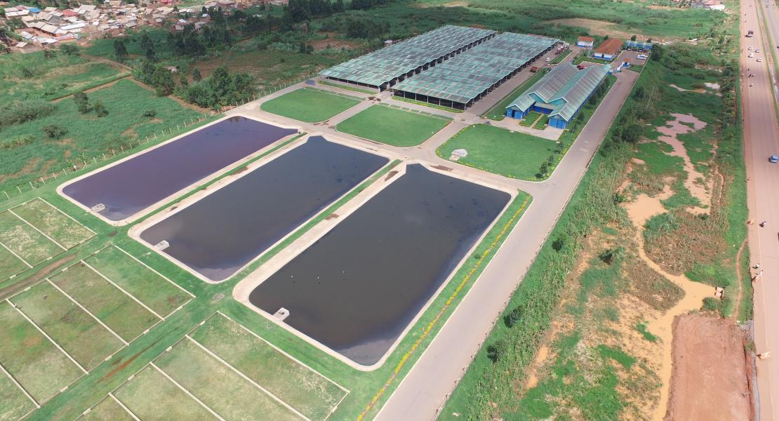 Initiative Dakar 2021