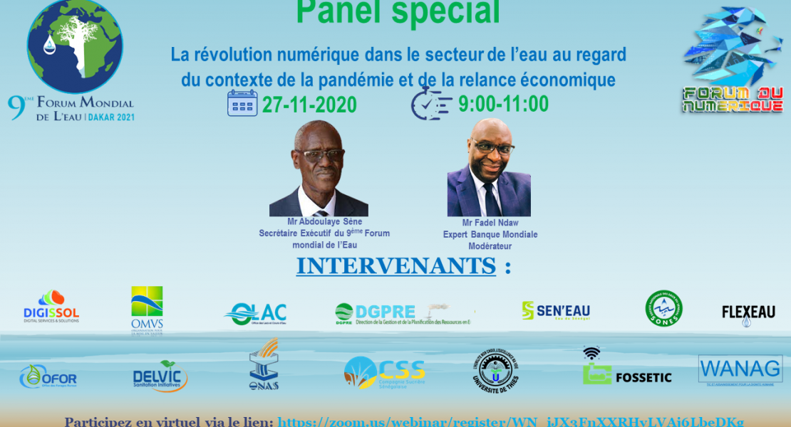 SESSION SPECIALE DU 9ème FORUM MONDIAL DE L'EAU SUR ''LA REVOLUTION NUMERIQUE DANS LE SECTEUR DE L'EAU AU REGARD DU CONTEXTE DE LA PANDEMIE ET DE LA RELANCE ECONOMIQUE''