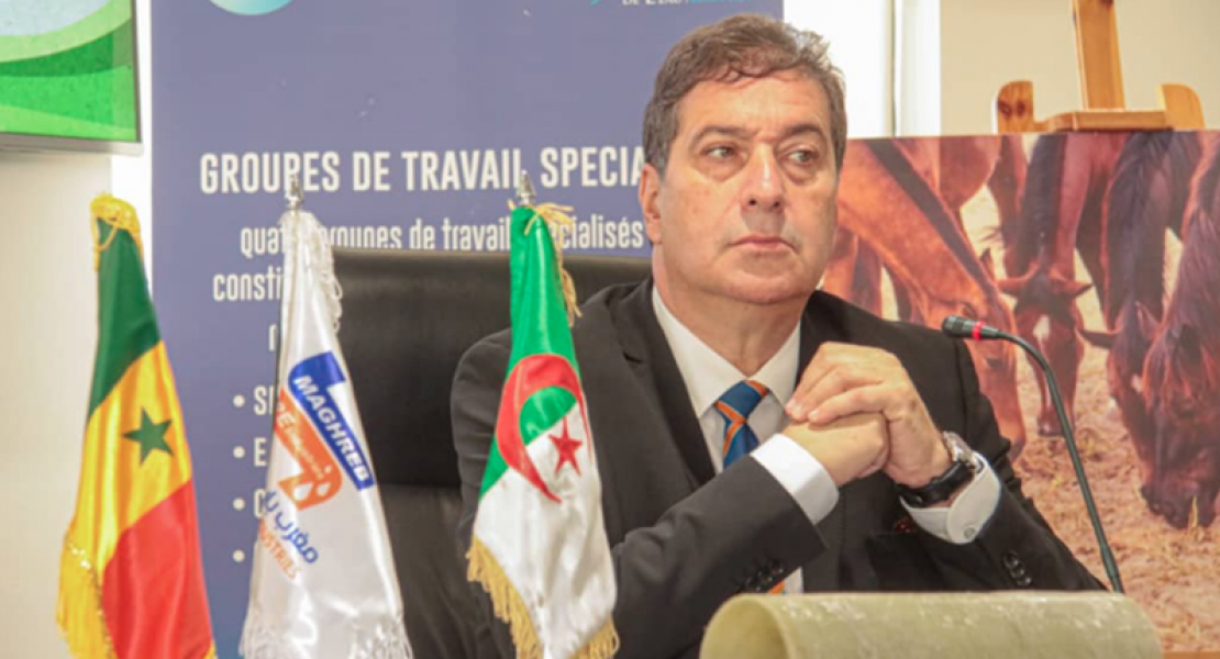 Al Hassan BOUZELIFFA