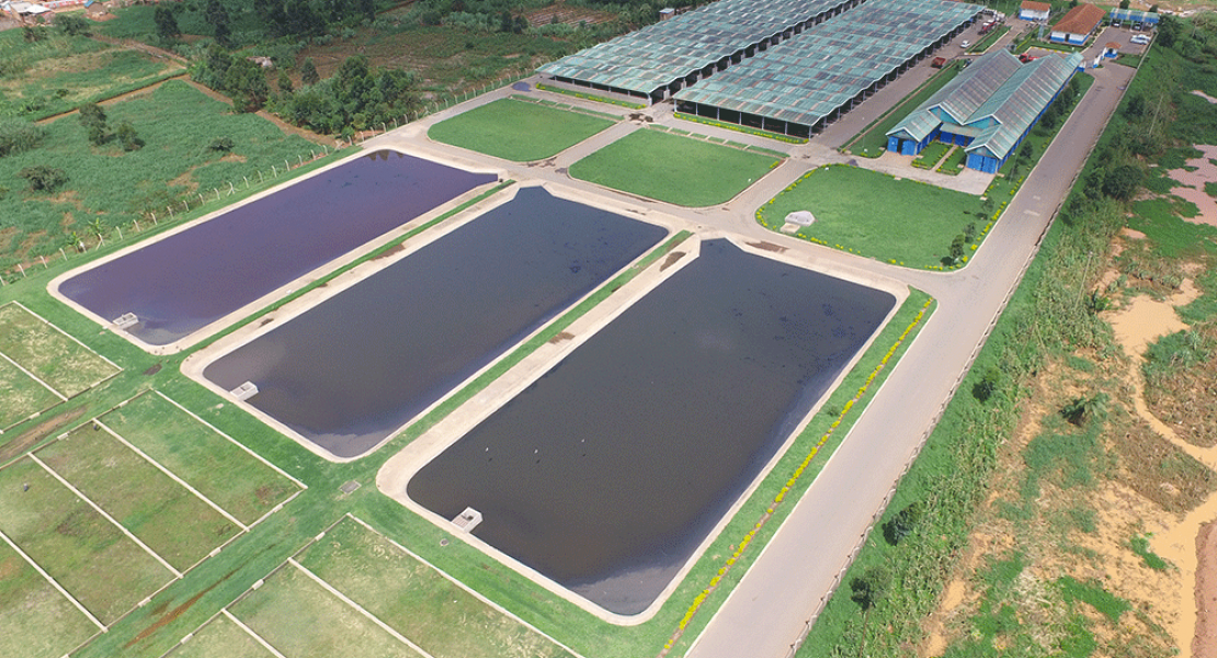 Comité Scientifique et Technique Eau Agricole (COSTEA)