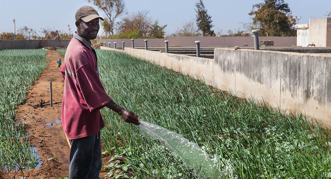 Integrated sanitation system for the promotion of sustainable agriculture at the level of Keur Saib Ndoye Thiès