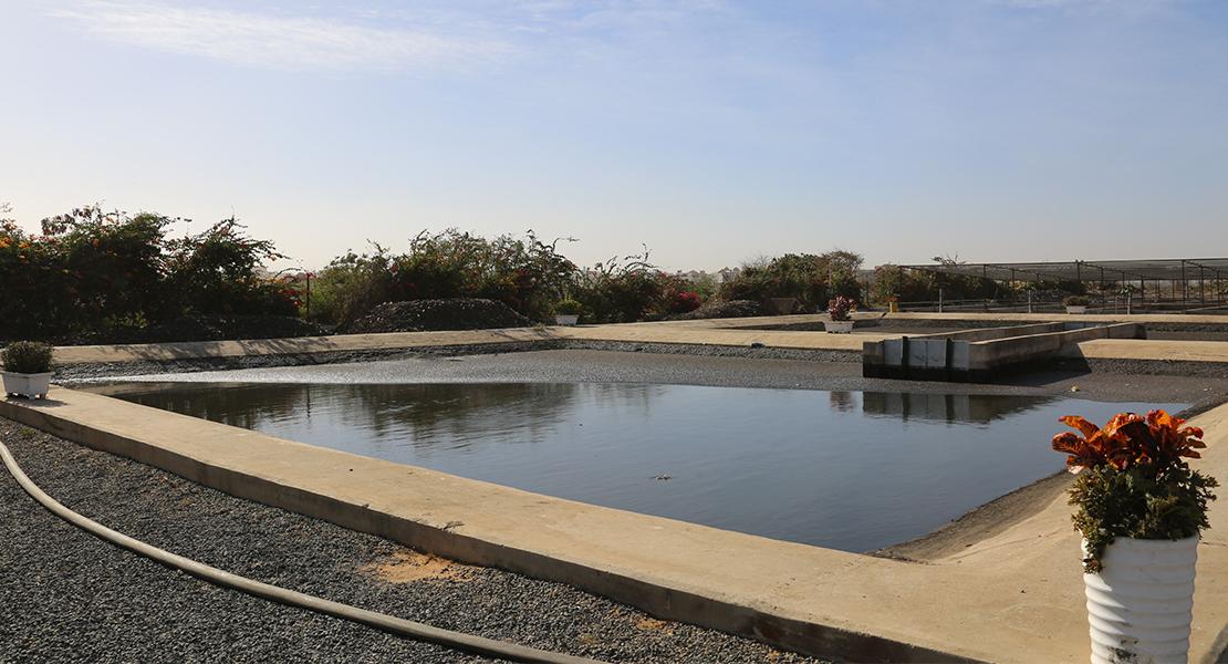 Strategies for the reuse of wastewater and stormwater treatment by-products in urban agriculture