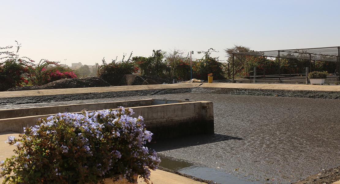 Access To Water Catchment and Treatment for the Siekoya Remolinos Community 