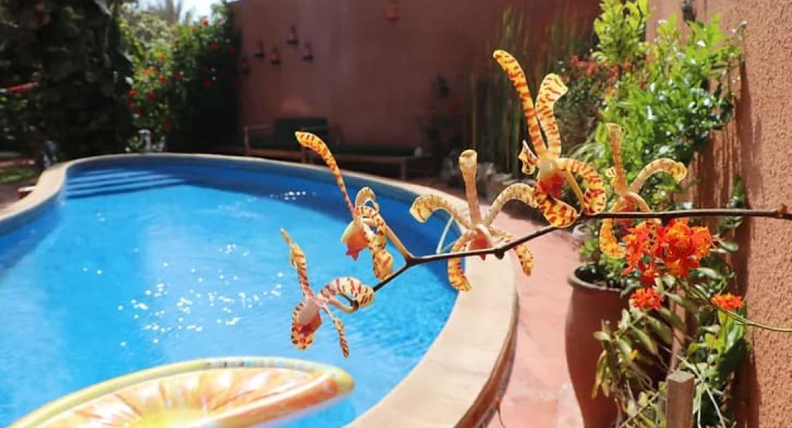 Nyeleni maison sahel