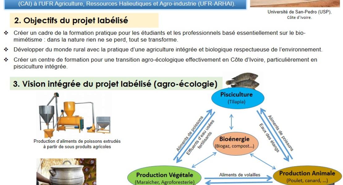 Promotion d’une pisciculture durable par la création de champ de démonstration de pisciculture intégrée à l’Université de San-Pedro