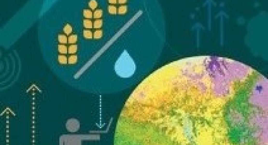 WaPOR (Water Productivity through Open access of Remotely sensed derived data)