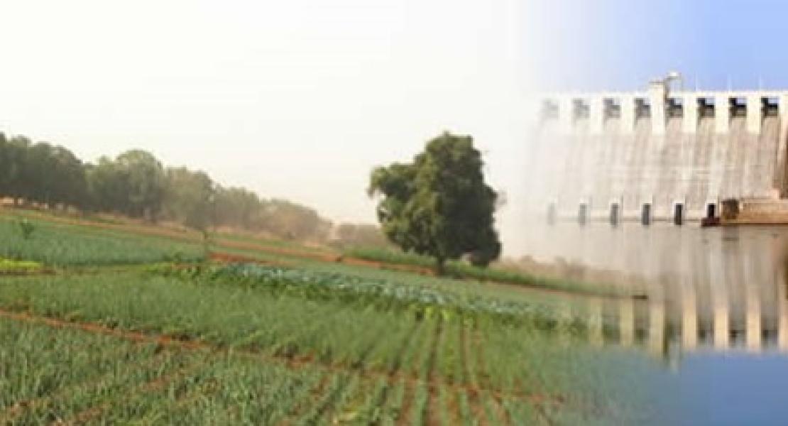  C5 APPUI A LA GESTION DES RESSOURCES EN EAU ET DU NEXUS EAU-ENERGIE-AGRICULTURE DANS LE BASSIN DU FLEUVE SENEGAL