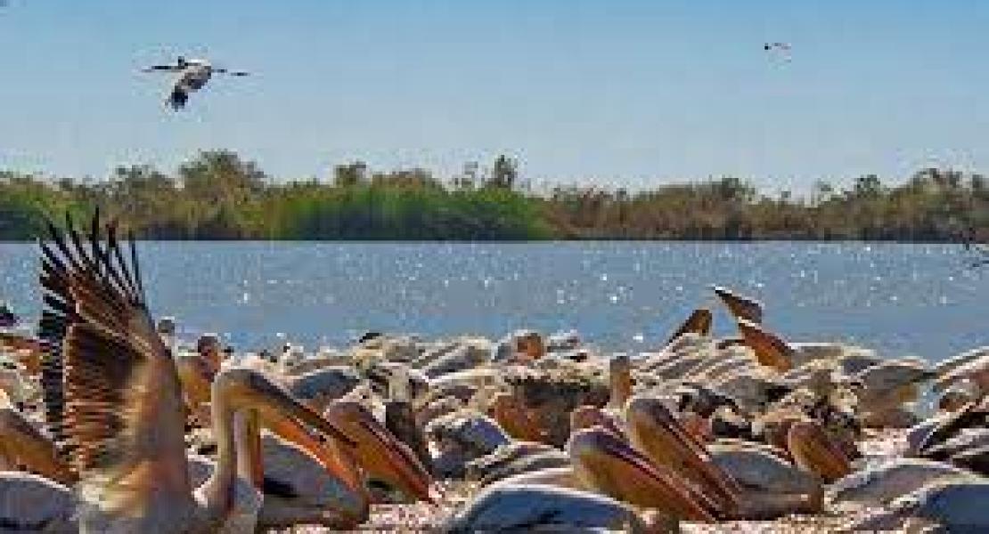 Bassin du fleuve Sénégal OPTIMISER LES USAGES DE L’EAU DANS LE CONTEXTE DES CHANGEMENTS 