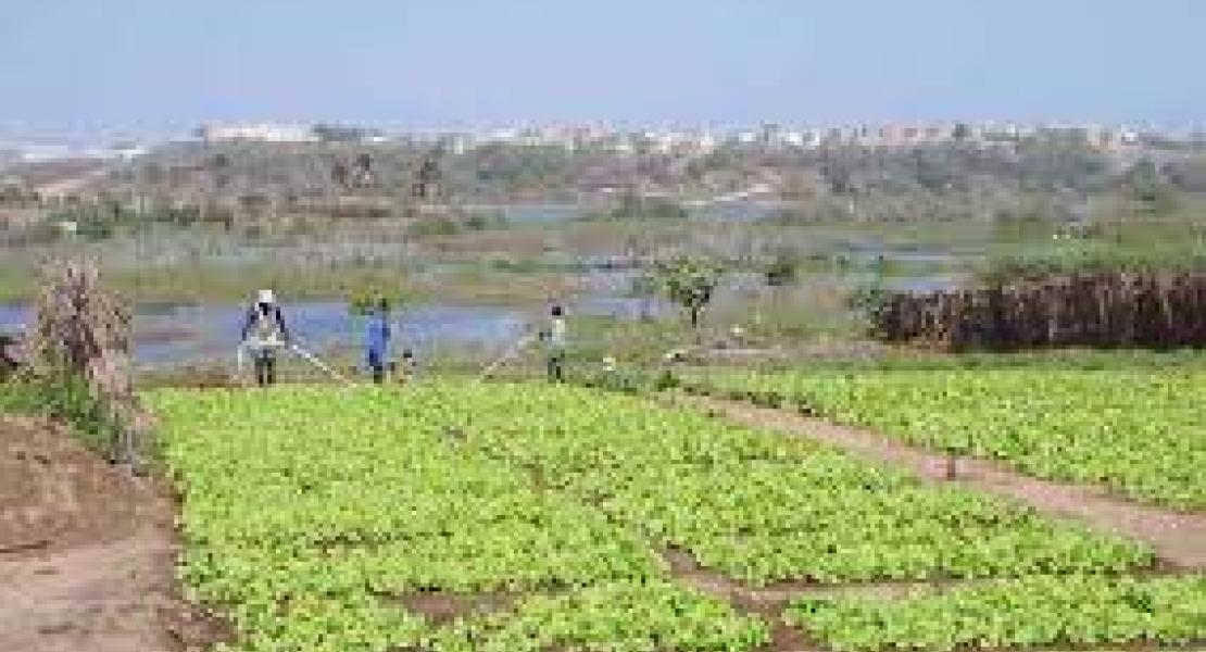 Projet de recherche-action GIREL : opérationnalisation d'une GIRE locale dans la zone des Niayes (Sénégal)
