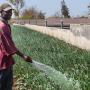 Integrated sanitation system for the promotion of sustainable agriculture at the level of Keur Saib Ndoye Thiès