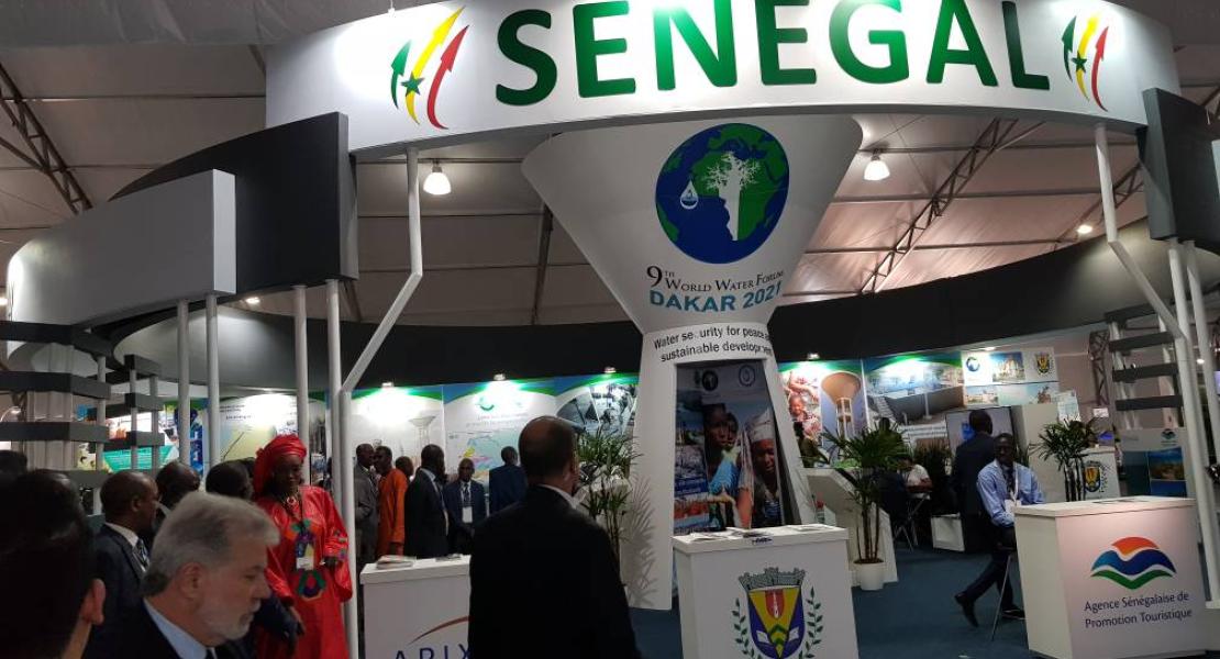 Expositions/Villages/Path of responses